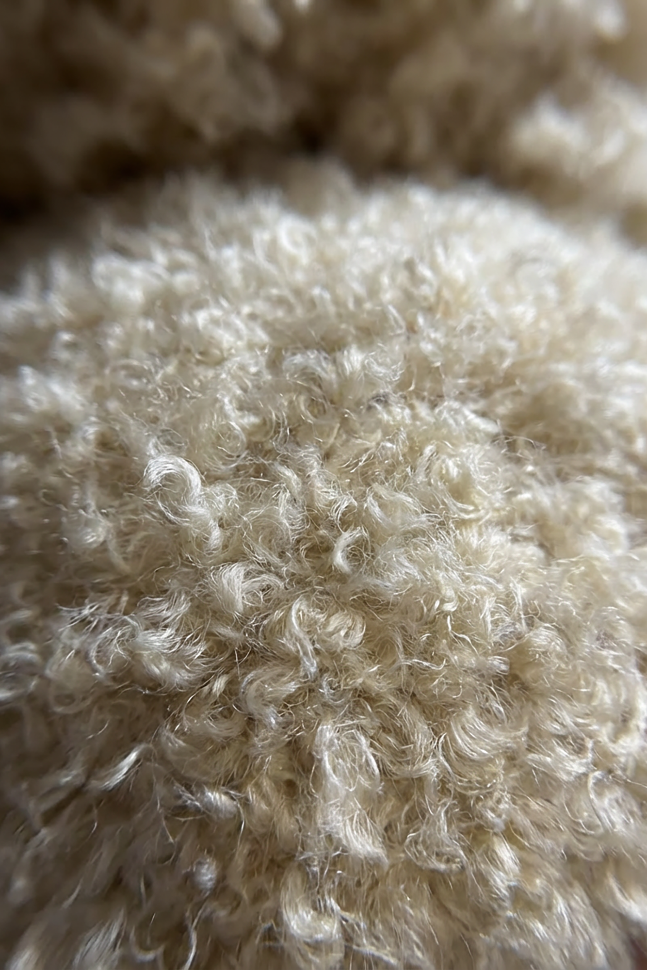 Teddy Beanie with Oversized Pom Pom