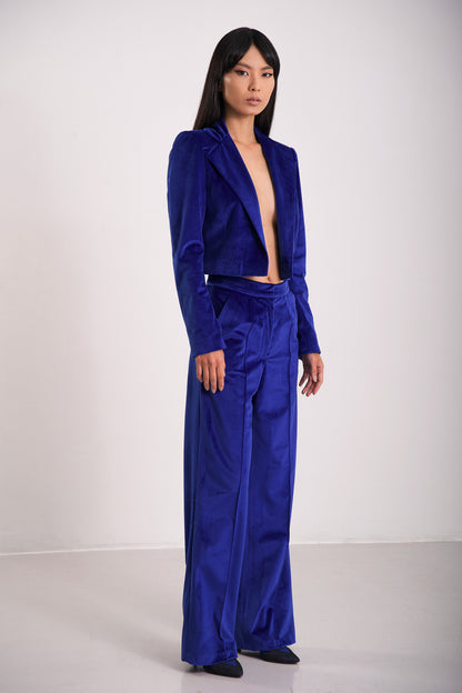 Elektrisch blaue Samthose