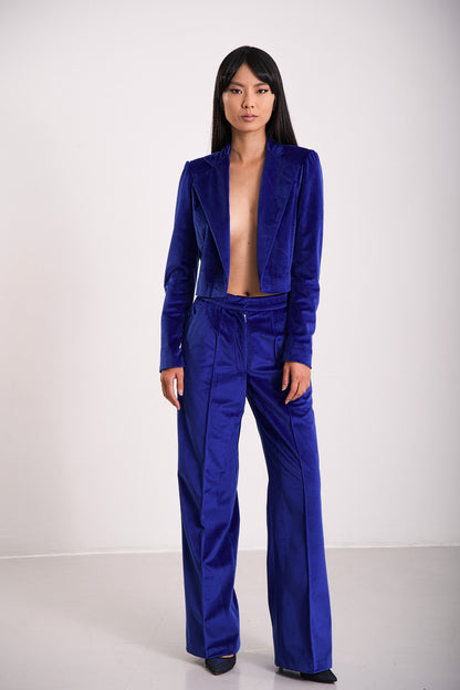 Elektrisch blaue Samthose