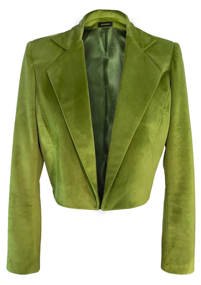 Olive green velvet jacket